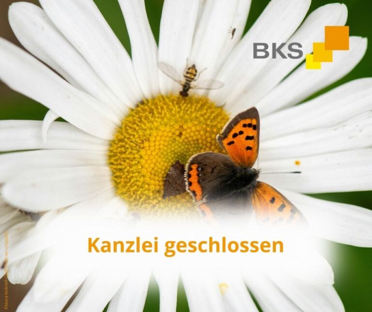 Mehr über den Artikel erfahren Information
