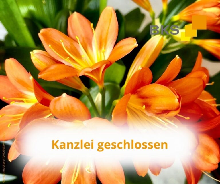 Mehr über den Artikel erfahren Information